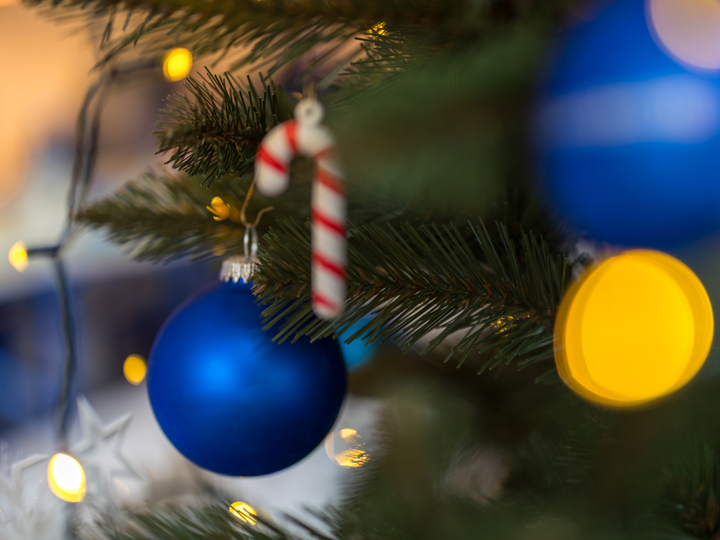 Urheber: Steffen Herre