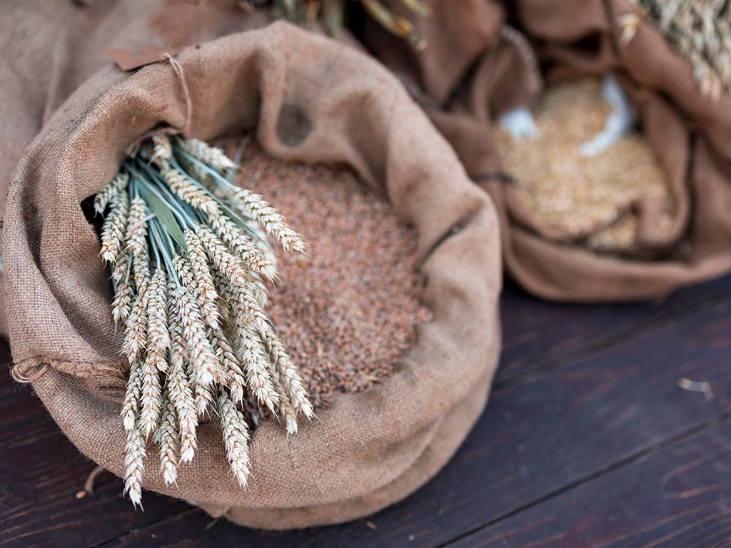 Urheber: Steffen Herre