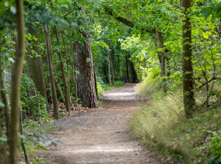 Thumbnail: Durch den Wald der 1000 Augen zum Baa See