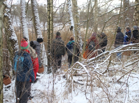 Urheber: Larissa Schulz