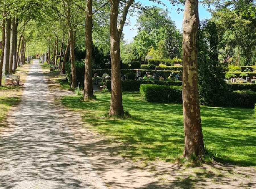 Thumbnail: Was Grabstätten erzählen – 80 Jahre nach Kriegsende