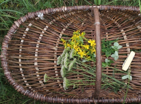 Urheber: Larissa Schulz