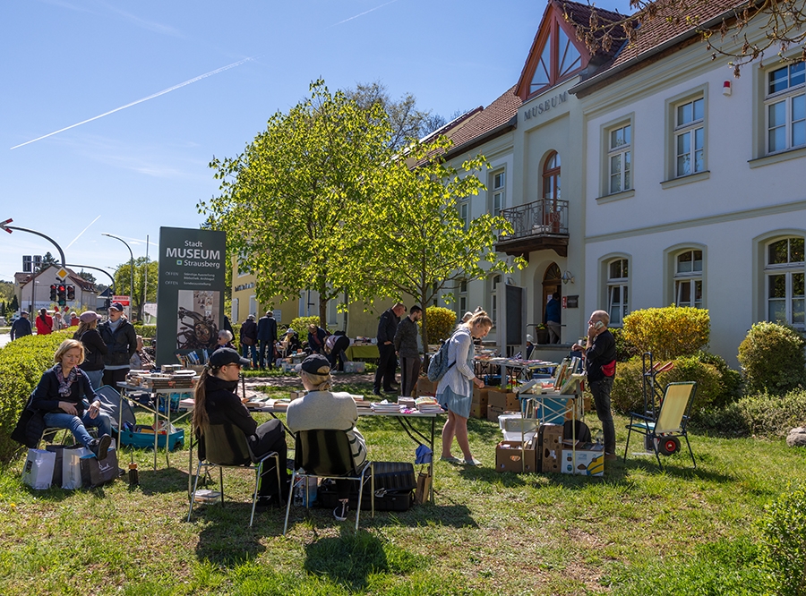Thumbnail: Bücherflohmarkt im Stadtmuseum