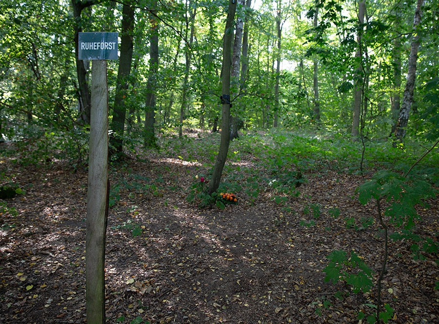 Thumbnail: Ruheforst Strausberg