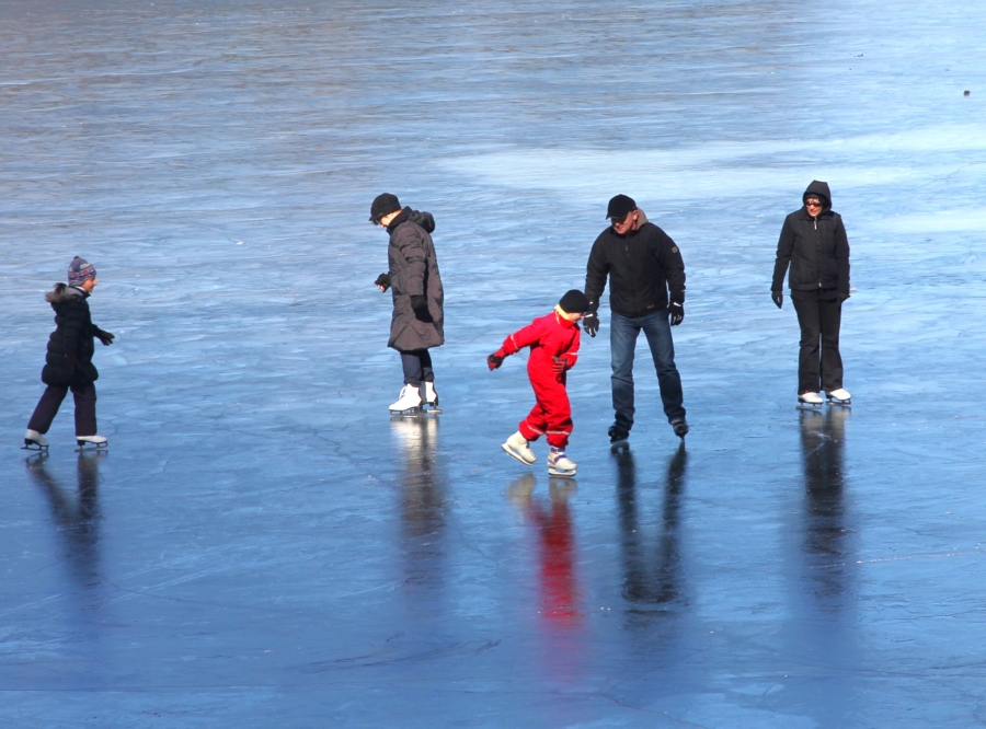 Urheber: Steffen Herre