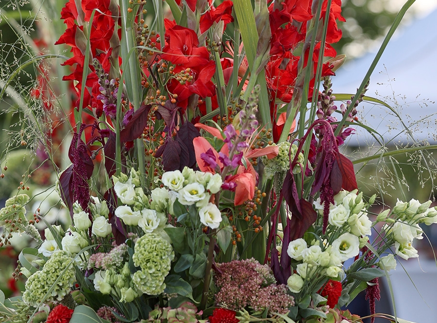 Thumbnail: Erwachsenwerden in MOL