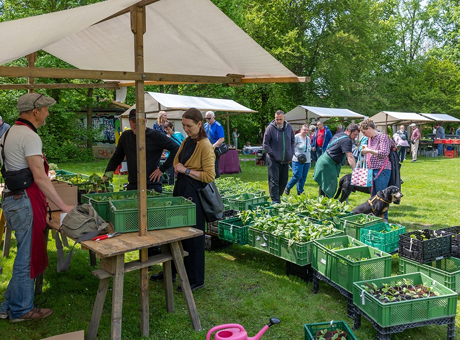 Thumbnail: Buckower Garten- und Gesundheitstag