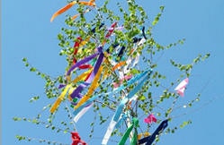 Thumbnail: Maibaumfest