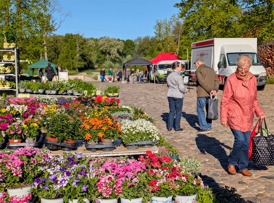 Thumbnail: erlebnisricher Tag