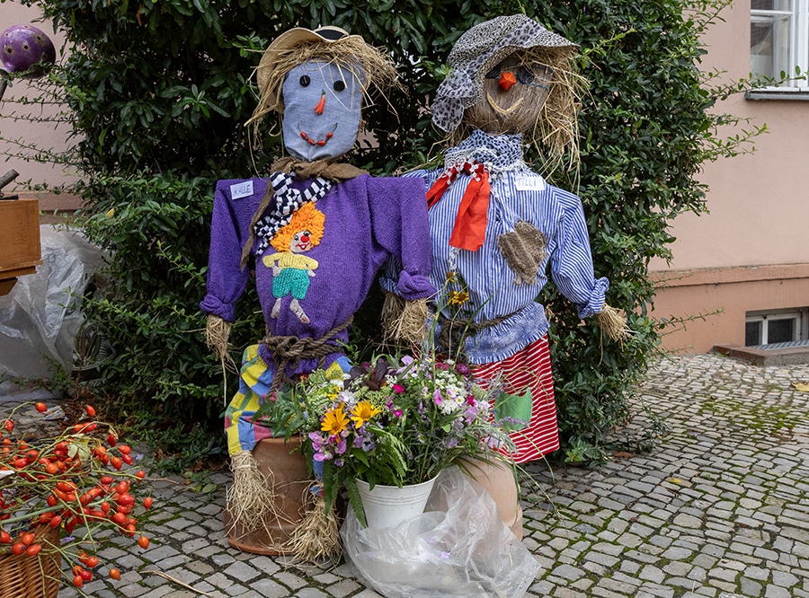 Thumbnail: Vogelscheuchenmarkt & offene Höfe
