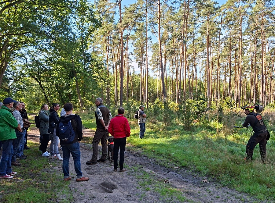 Thumbnail: Waldumbau im Strausberger Stadtforst