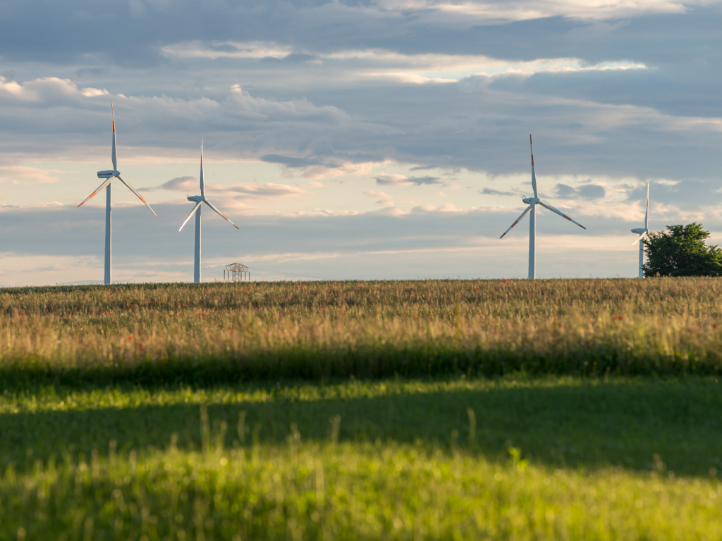 Urheber: Steffen Herre