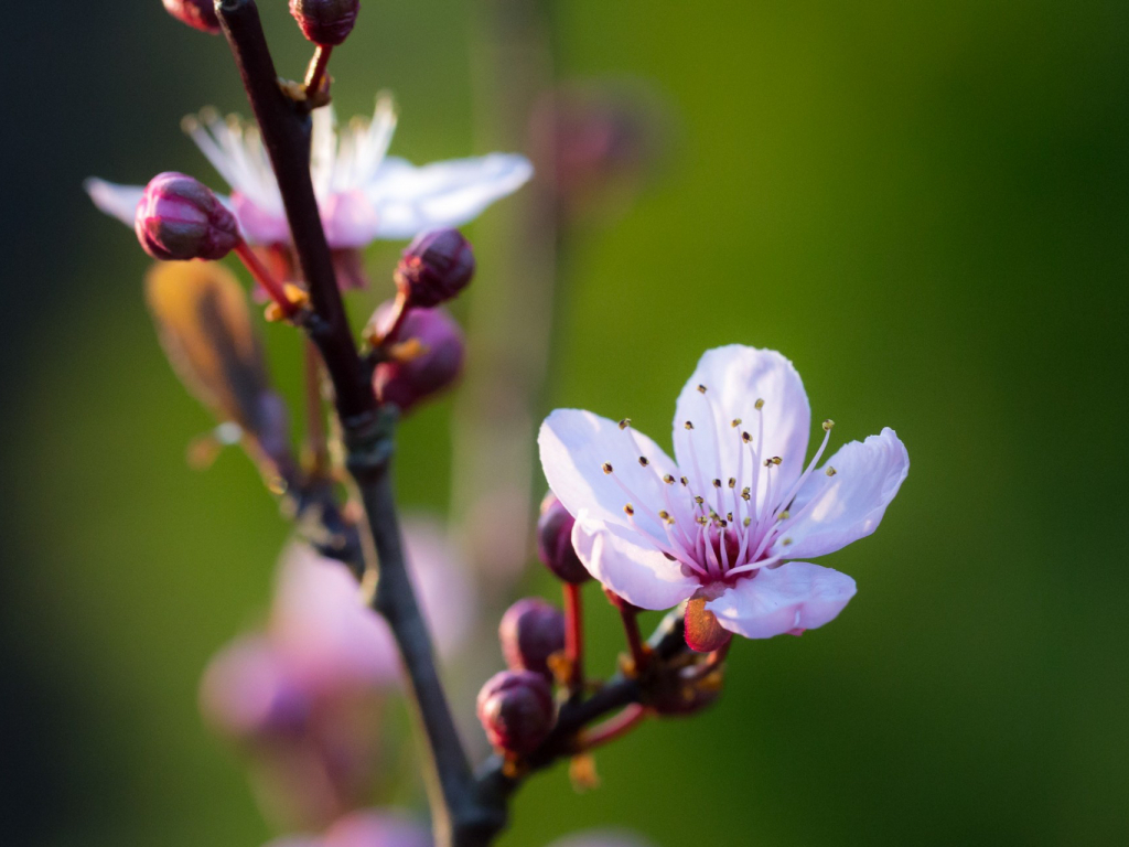 Urheber: Steffen Herre