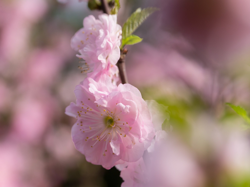 Urheber: Steffen Herre