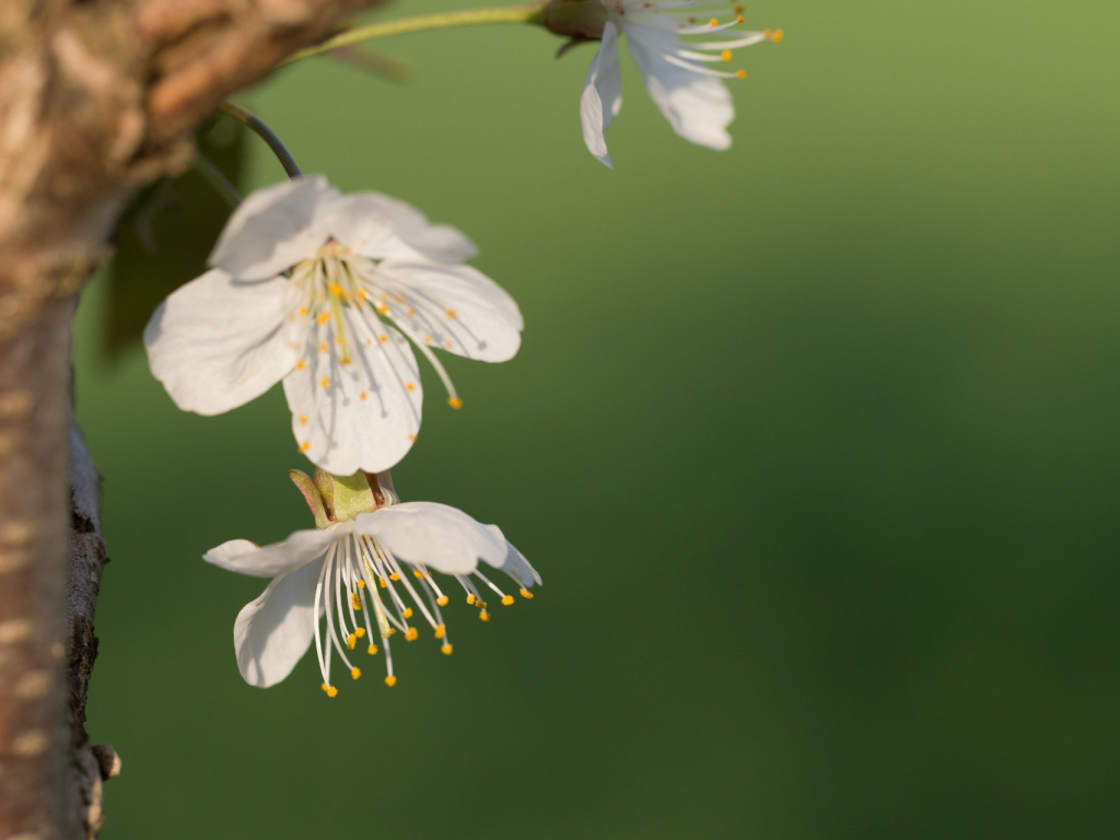 Urheber: Steffen Herre