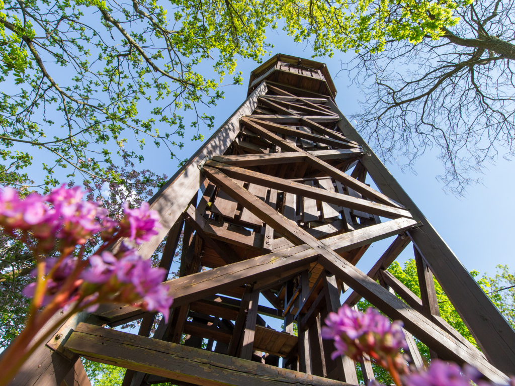 Urheber: Steffen Herre