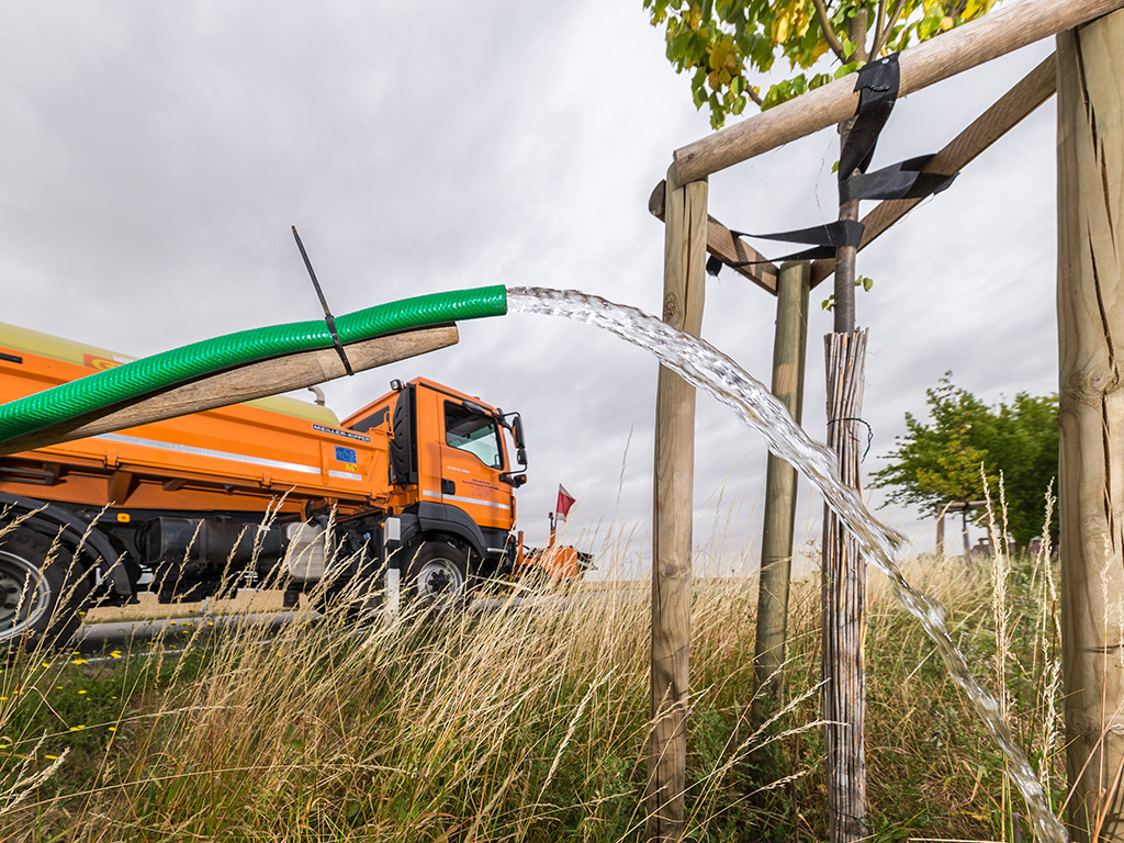 Thumbnail: Tag des Baumes in Eiche