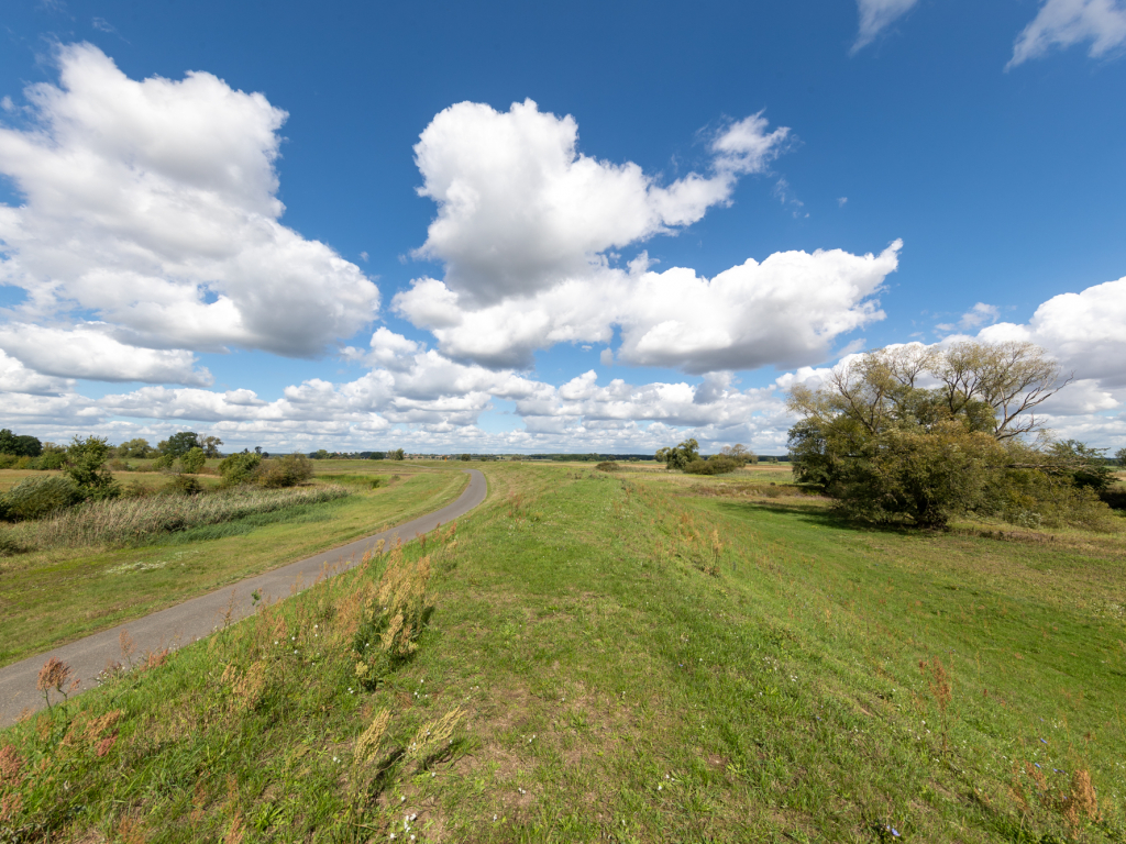 Urheber: Andreas Prinz