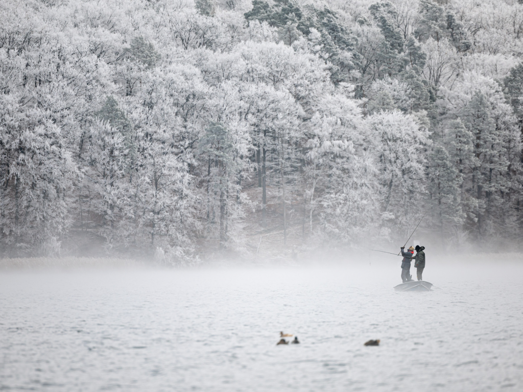 Thumbnail: Neujahrsschwimmen