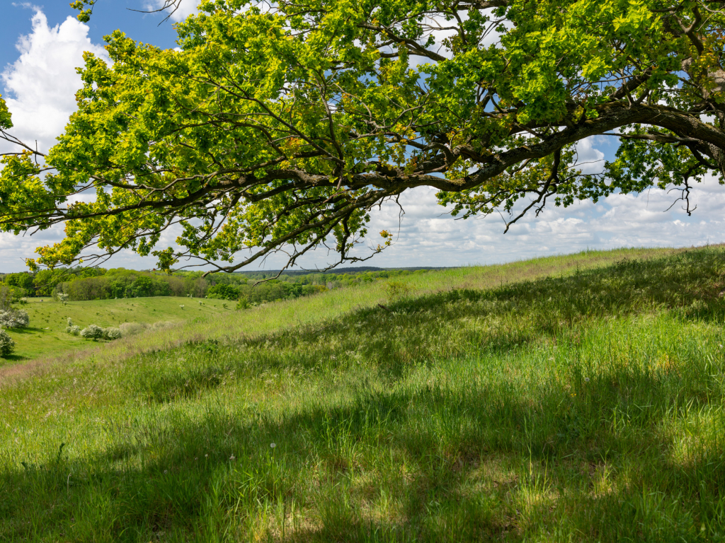 Urheber: Steffen Herre