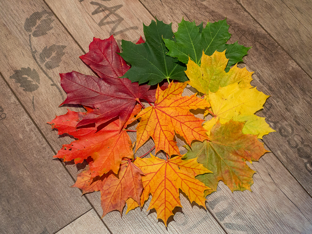 Urheber: Steffen Nerre