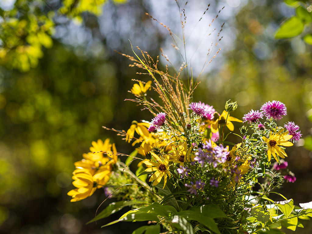 Urheber: Steffen Herre