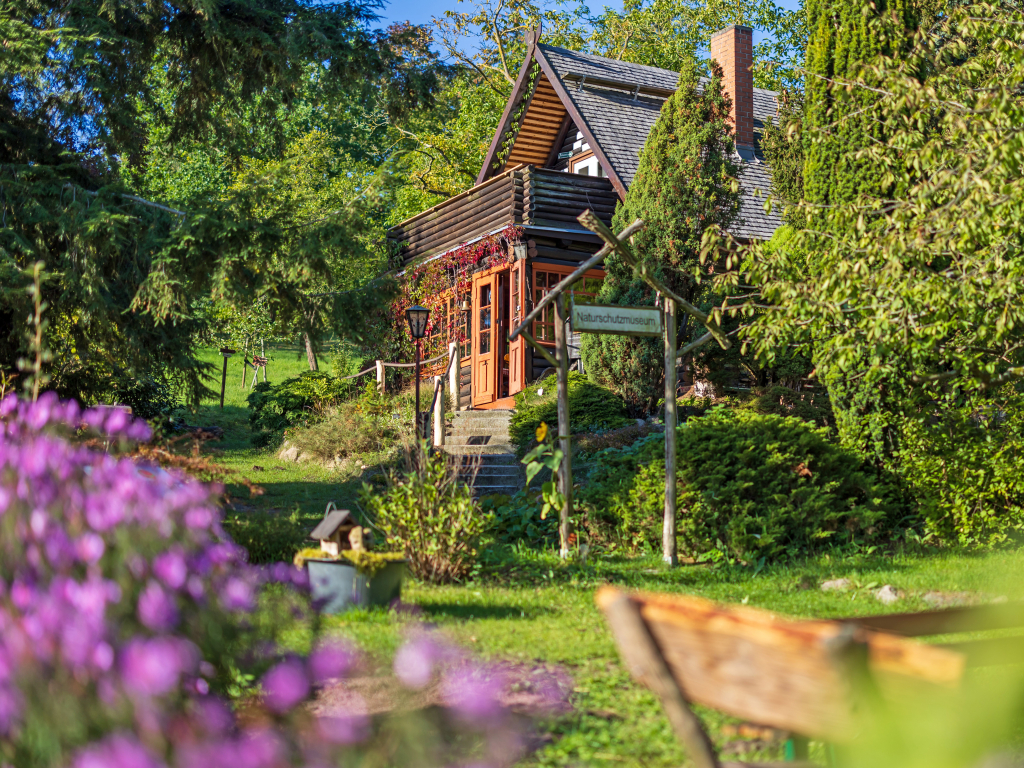 Thumbnail: 2. Eulentag im Haus der Naturpflege