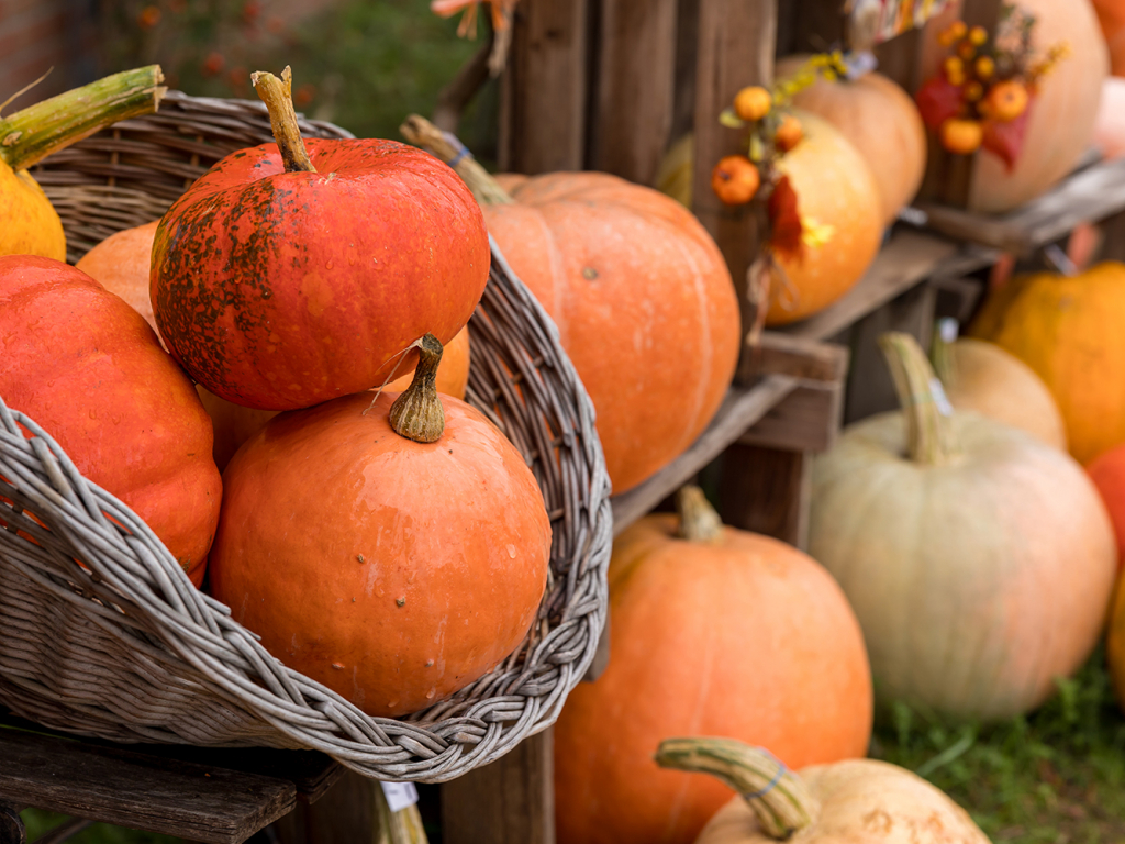Thumbnail: Herbstfest an der Köhlerei