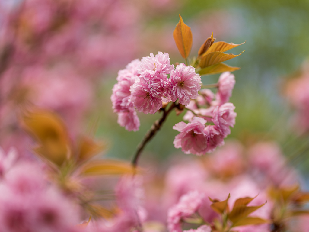 Thumbnail: Frühjahrsputz der Gemeinde