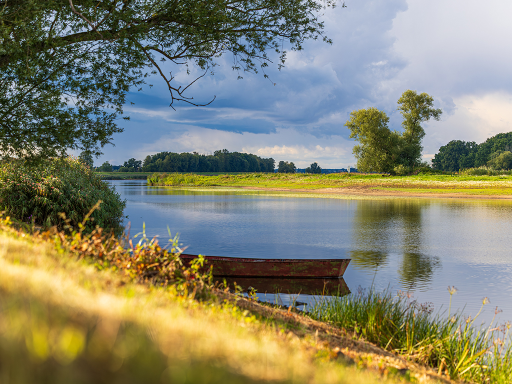 Urheber: Steffen Herre