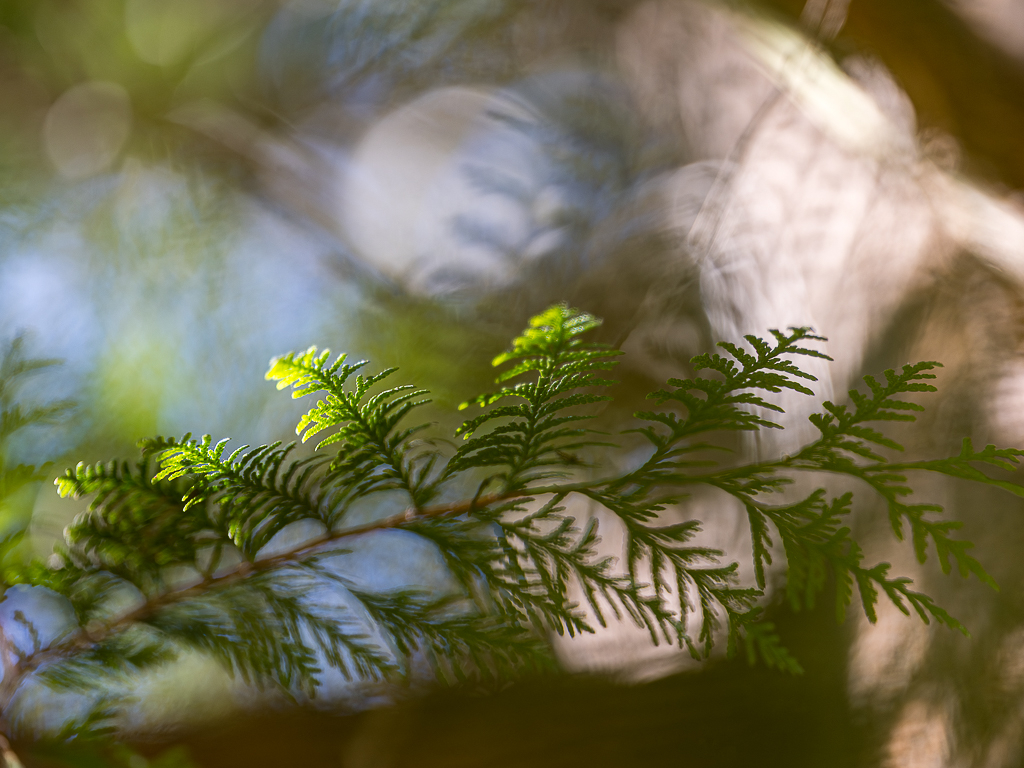 Urheber: Steffen Herre