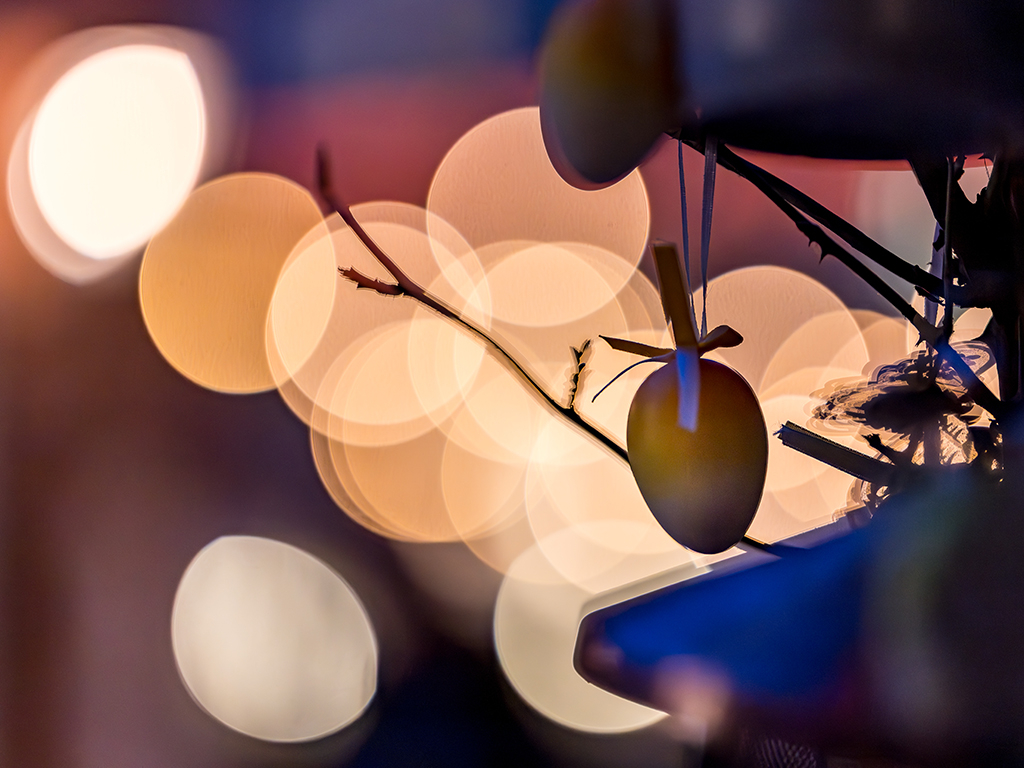 Urheber: Steffen Herre