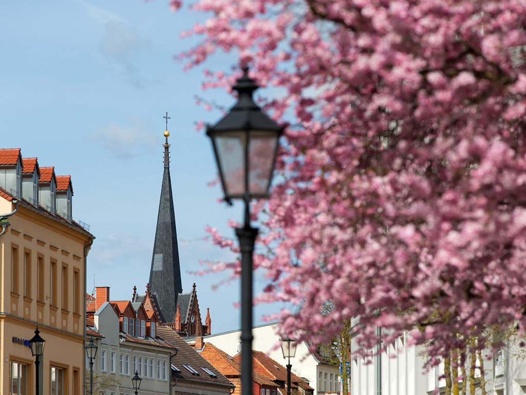 Urheber: Steffen Herre