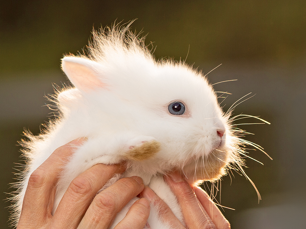 Urheber: Steffen Herre