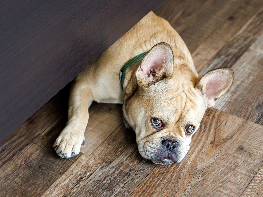 Thumbnail: Märchenstunde für Groß und Klein