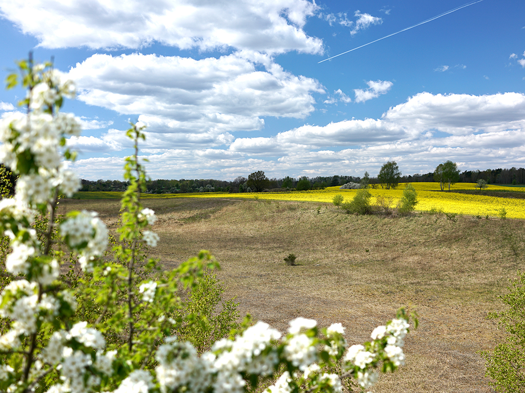Urheber: Steffen Herre