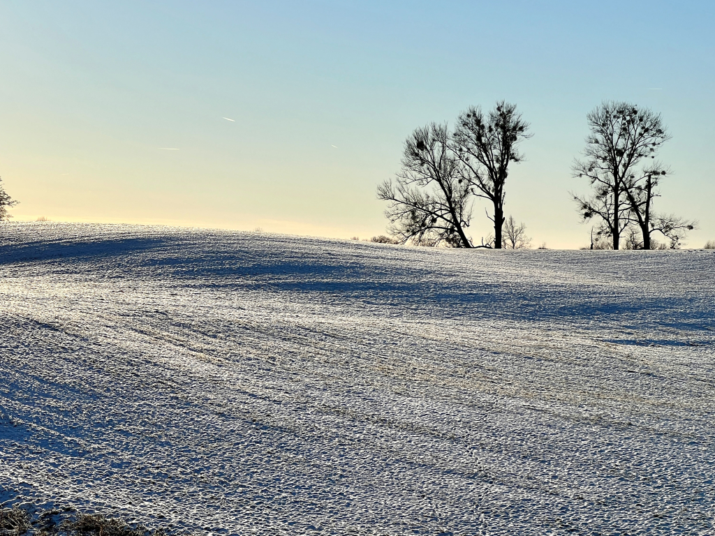 Thumbnail: Adventswanderung 