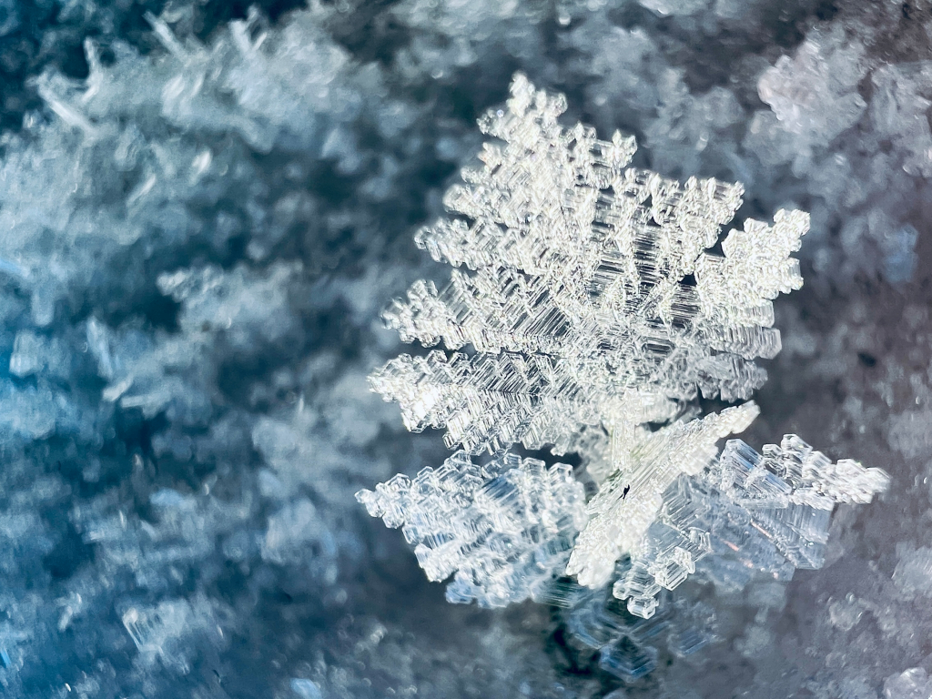 Urheber: Steffen Herre