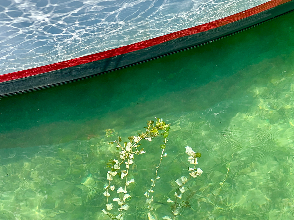 Urheber: Steffen Herre