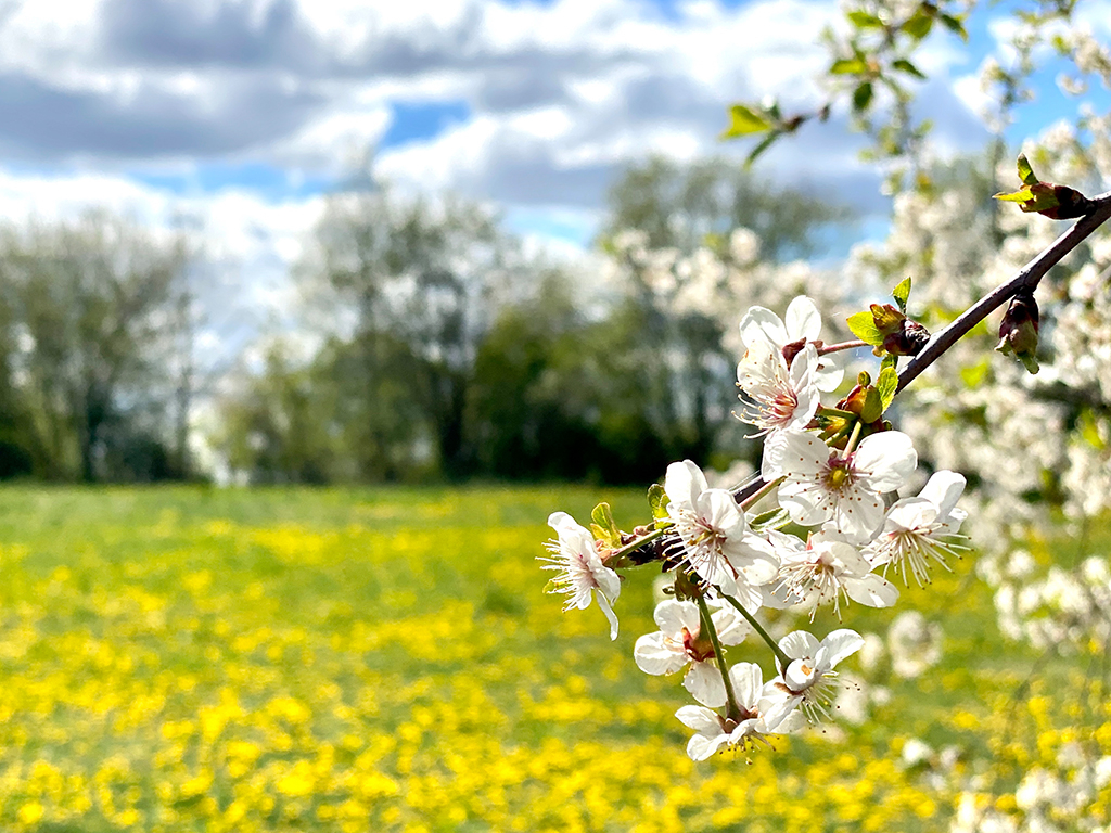 Thumbnail: Saisoneröffnungswanderung