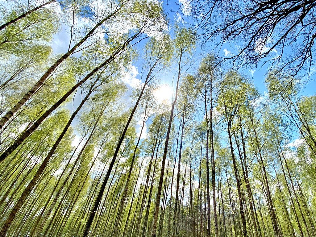 Urheber: Steffen Herre