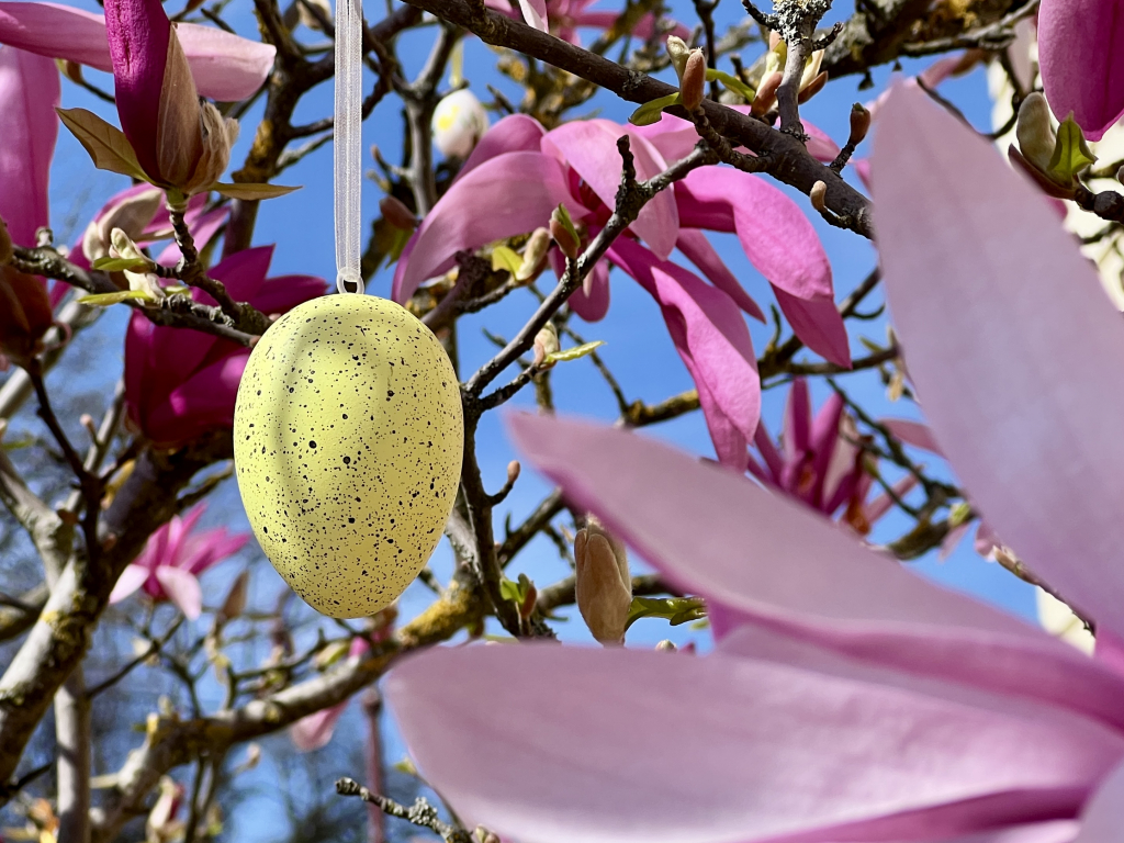 Urheber: Steffen Herre