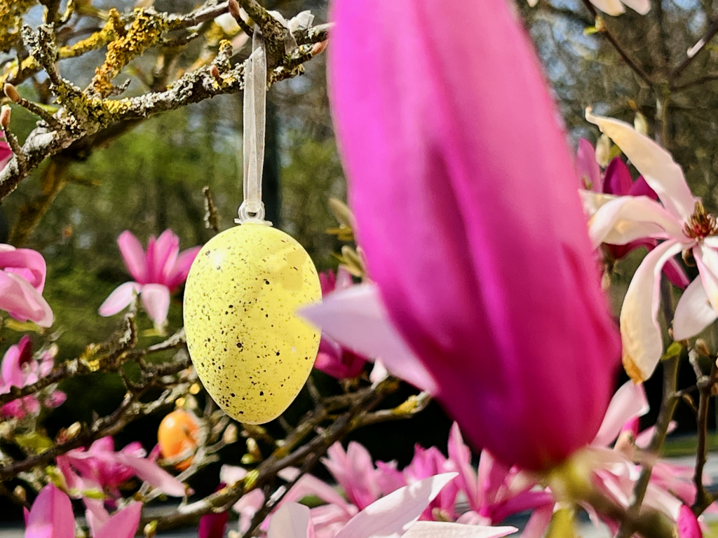 Urheber: Steffen Herre