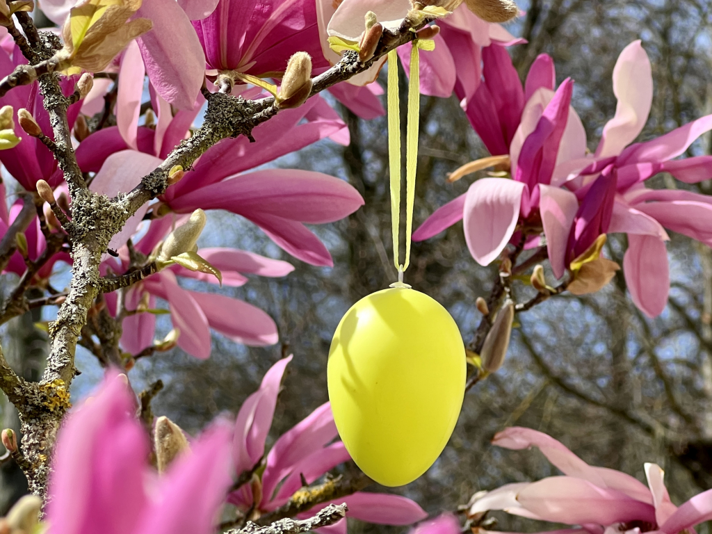 Urheber: Steffen Herre