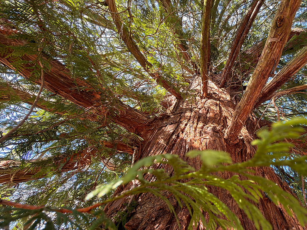 Urheber: Steffen Herre