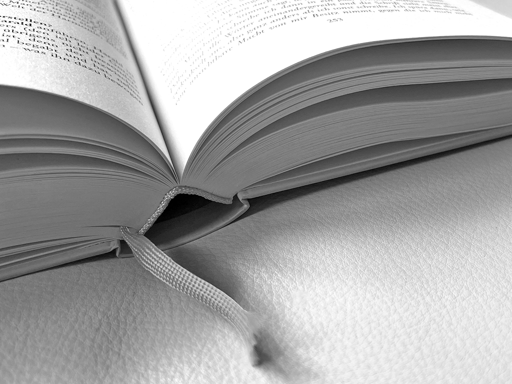 Thumbnail: Schaufenster vor Weihnachten