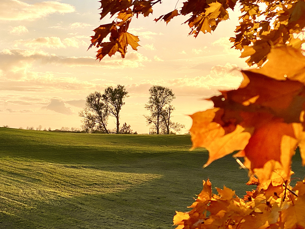 Thumbnail: Laubentsorgung in Strausberg