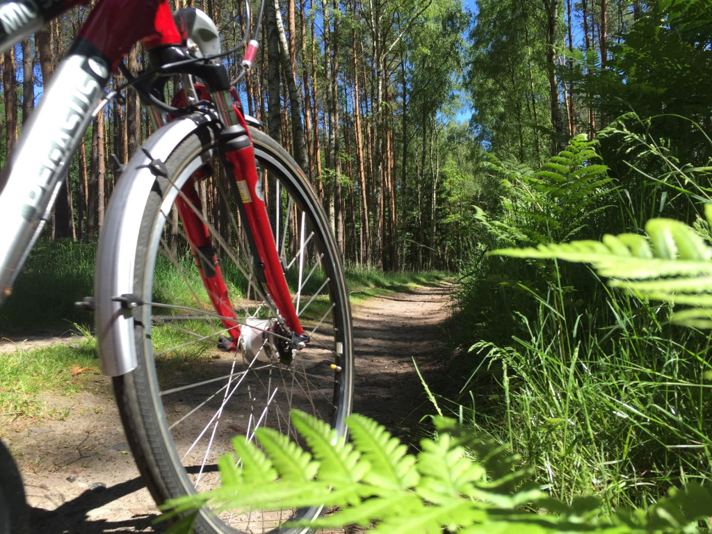 Thumbnail: 19. Wettbewerb Stadtradeln