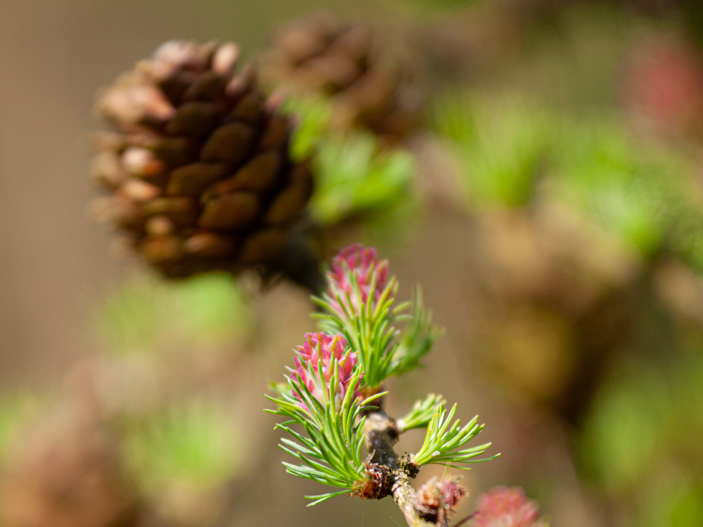 Urheber: Steffen Herre