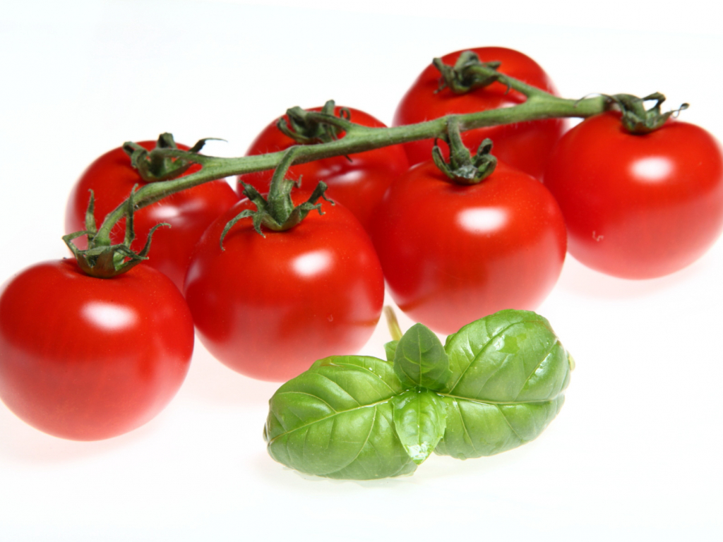 Urheber: Steffen Herre